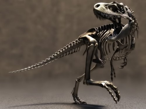 Палеонтолог рассказал, почему важно сейчас искать динозавров в Китае