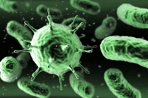 Найдены бактерии, способные «переварить» чистящие средства