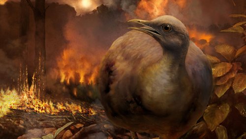 Ученые выяснили, как птицы пережили падение астероида, который убил динозавров