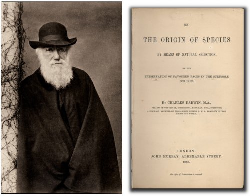 Раритетный экземпляр книги Чарльза Дарвина пылился на чердаке в деревне