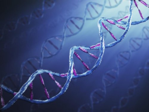 Ученые исследовали мутировавший ген, который стал причиной сложного заболевания