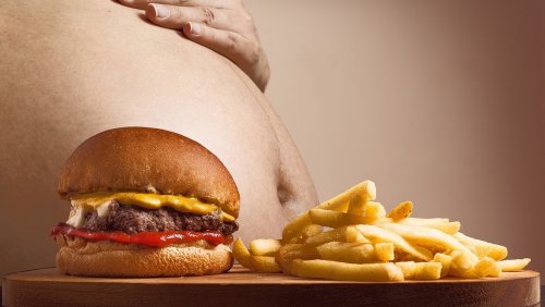 Учёные: Жир является единственной причиной набора веса