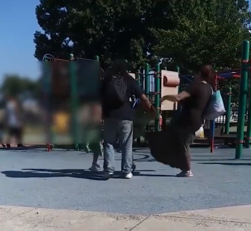 В США на камеру попала «яжмать», избившая на детской площадке мальчика
