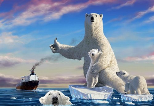 Изменения климата Арктики будут контролироваться двумя белыми медведицами