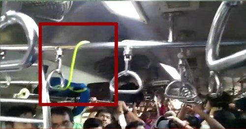 Ядовитая желтая змея стала пассажиркой поезда в Индии