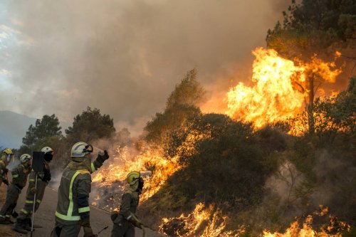 В Испании из-за лесных пожаров эвакуировали 2,5 тысячи людей