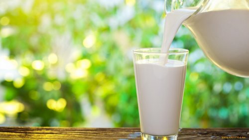 Ученые рассказали, чем полезно молоко на завтрак