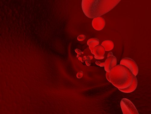 Ферменты кишечных бактерий сделают кровь для переливания универсальной