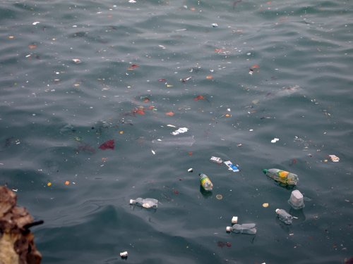 Большая часть Мирового океана загрязнена окурками