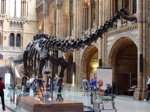 Эволюционный пробел в 70 млн лет заполнили обнаруженные останки динозавров