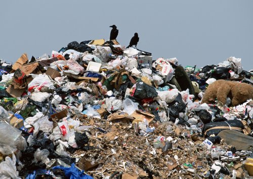 Челябинск завален мусором: в результате «мусорного коллапса» в городе введен режим повышенной опасности