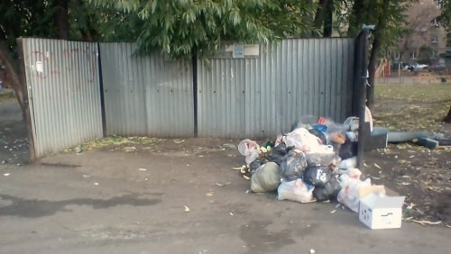 В Челябинске появился «вор» мусорных баков