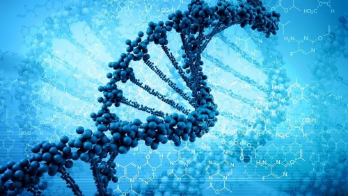 Генетический редактор CRISPR поможет лечить наследственные заболевания