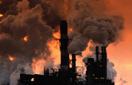 Убийство по заказу: экологи выяснили вред цементного завода
