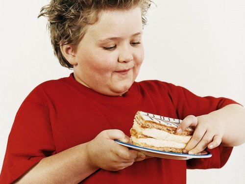 Ученые: У детей с ожирением меньше шансов хорошо учиться в школе