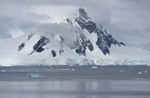 Находки в Антарктиде шокировали ученых