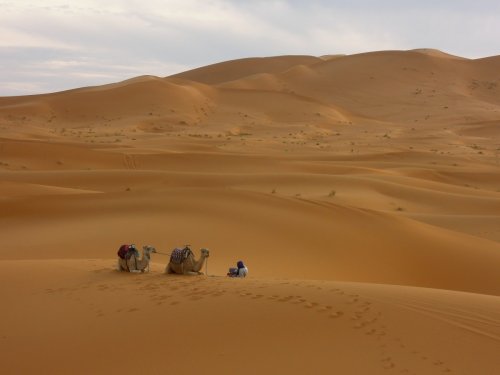 Ученые: каждые 20 тысяч лет в Сахару возвращается влажный климат