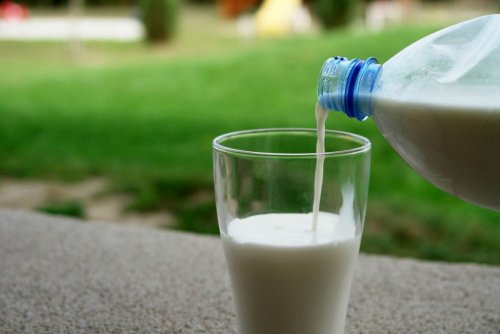 Учёные выявили малоизвестные свойства коровьего  молока