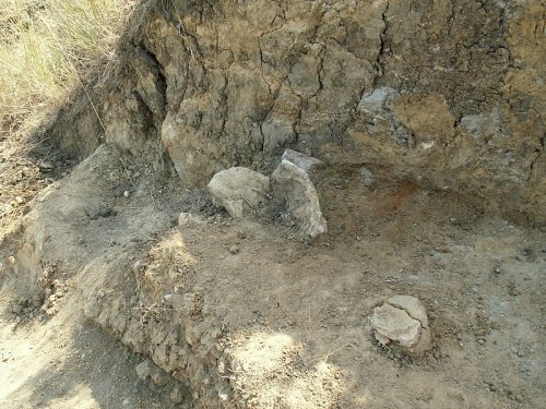 Ученые рассказади об археологических находках в Сибири