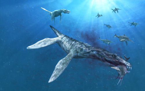Египетские учёные обнаружили «матрёшку» из китов