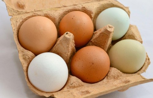В России нанесли удар по яйцам