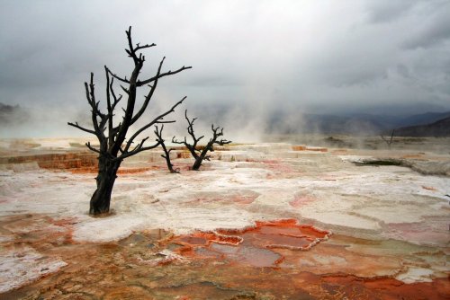 Вулкан Йеллоустоун может привести к катастрофе