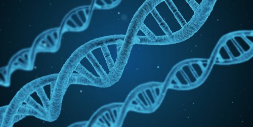 Ученые поделились секретом извлечения ДНК с помощью  спирта