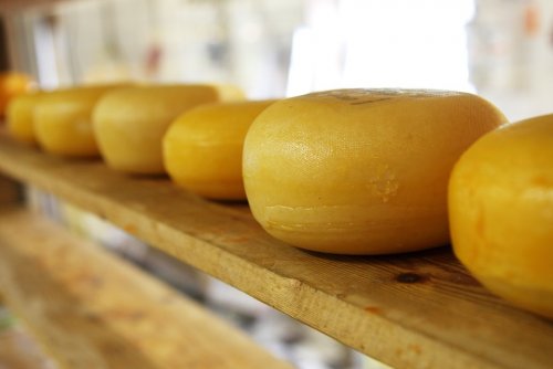 Российские специалисты создали новый вид сыра