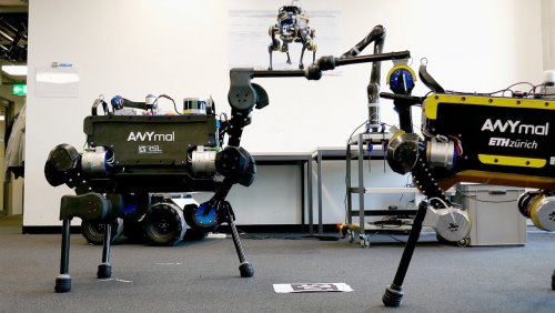 Сотрудниками Швейцарского института показана новая усовершенствованная модель робота способная самостоятельно подниматься с колен