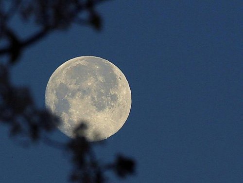 Китайцы заявили права на Луну на основании своего инопланетного происхождения
