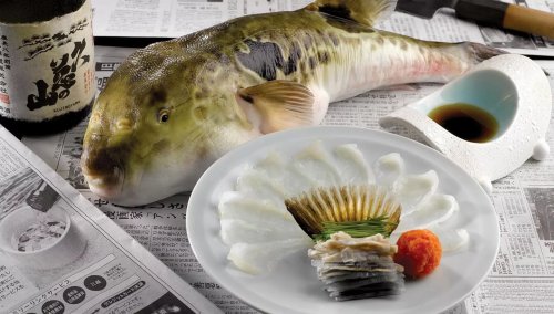Китайские учёные воспризвели вкус рыбы фугу