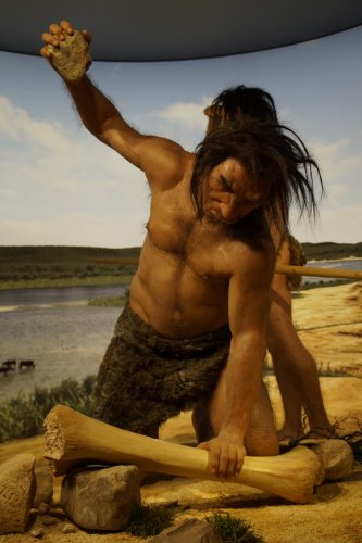 Неандертальцы умели создавать мощные орудия для охоты