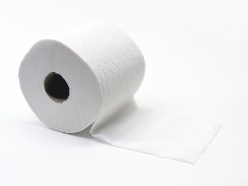 В Германии советуют найти замену туалетной бумаги