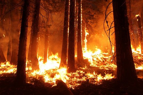 Из-за пожара на Тасмании эвакуировали 400 человек