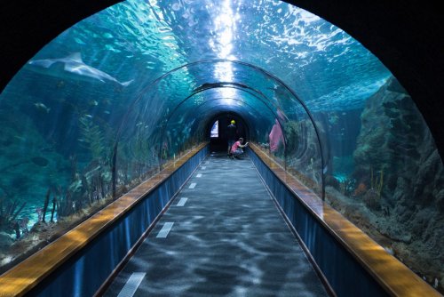 Норвегия  планирует построить подводные плавучие туннели
