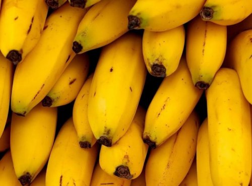 Учёные нашли способ спасти самые вкусные бананы от исчезновения