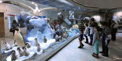 С момента запуска программы «Музеи — детям» в музеях и галереях Москвы побывали 615000 раз