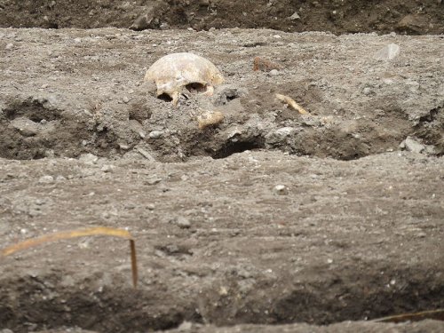 На территории Франции нашли кельтское поселение и сотню черепов-трофеев