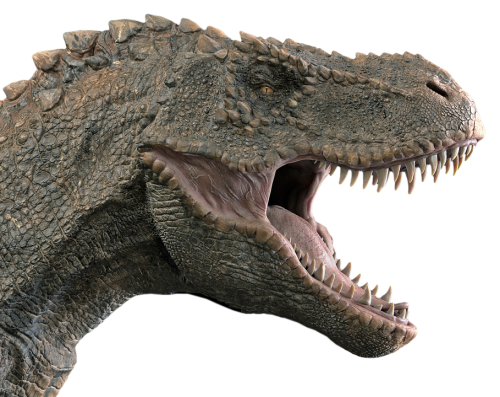 Специалисты провели анализ уникального гибкого черепа тираннозавра