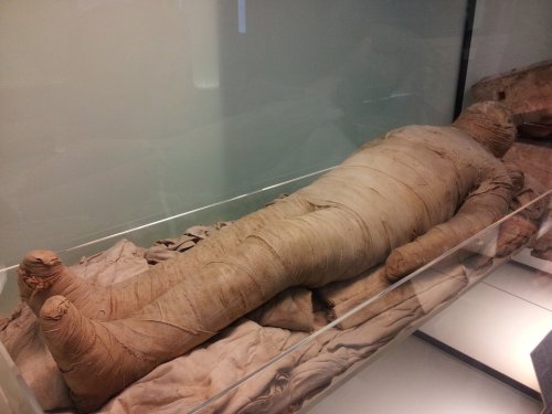 Египетская мумия шокировала ученых секретами древней медицины