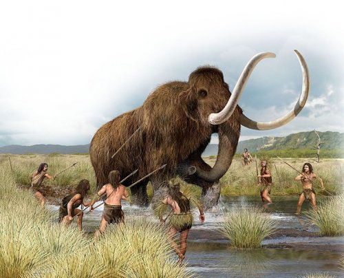 Неандертальцы были хищниками