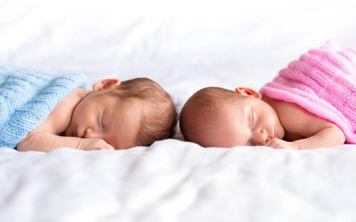 Девочки-близняшки с отредактированными генами склонны к повышенной успеваемости