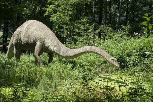Новые исследования древней лавы добавляют загадочности истории вымирания динозавров