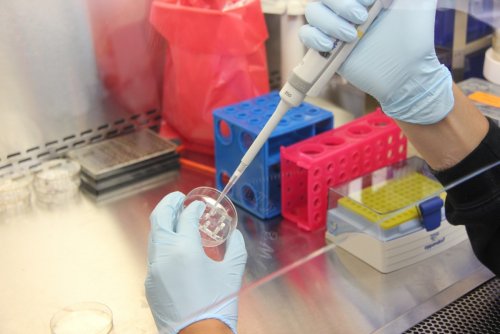 Учеными Великобритании открыт новый метод обнаружения модификаций ДНК, имеющих отношение к раку