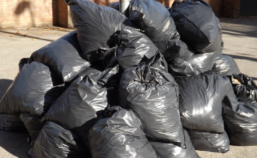 «Средства с курортного сбора» способны устранить мусорный коллапс на Кубани