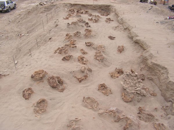 В Перу было найдено захоронение жертв ритуальных жертвоприношений