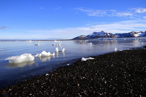 Потепление в российской части Арктики превысило глобальное в четыре раза