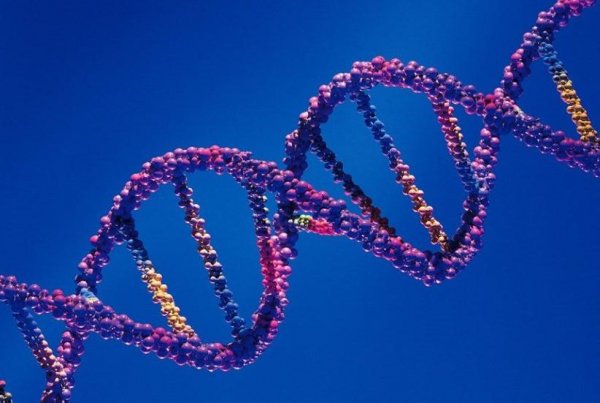 Учёные предложили ввести пятилетний мораторий на проведение генетических экспериментов