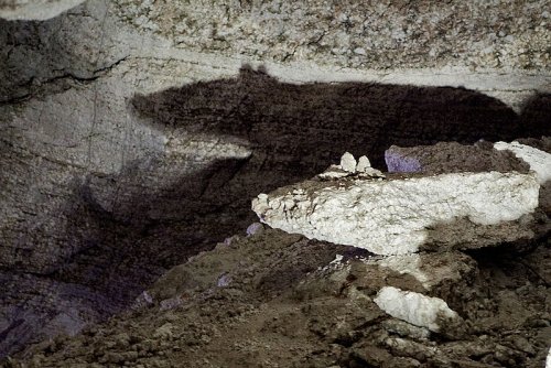 Следы затерянного мира нашли на острове в индонезийской пещере Лян Буа