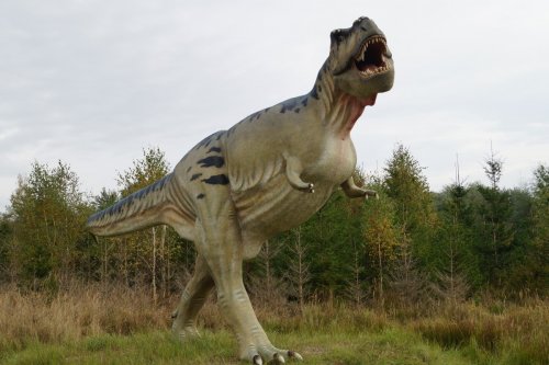 Тиранозавр Рекс стал звездой выставки в музее